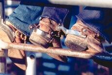 Texas Cowboys Ein Foto mit dem Titel: Texas Cowboys