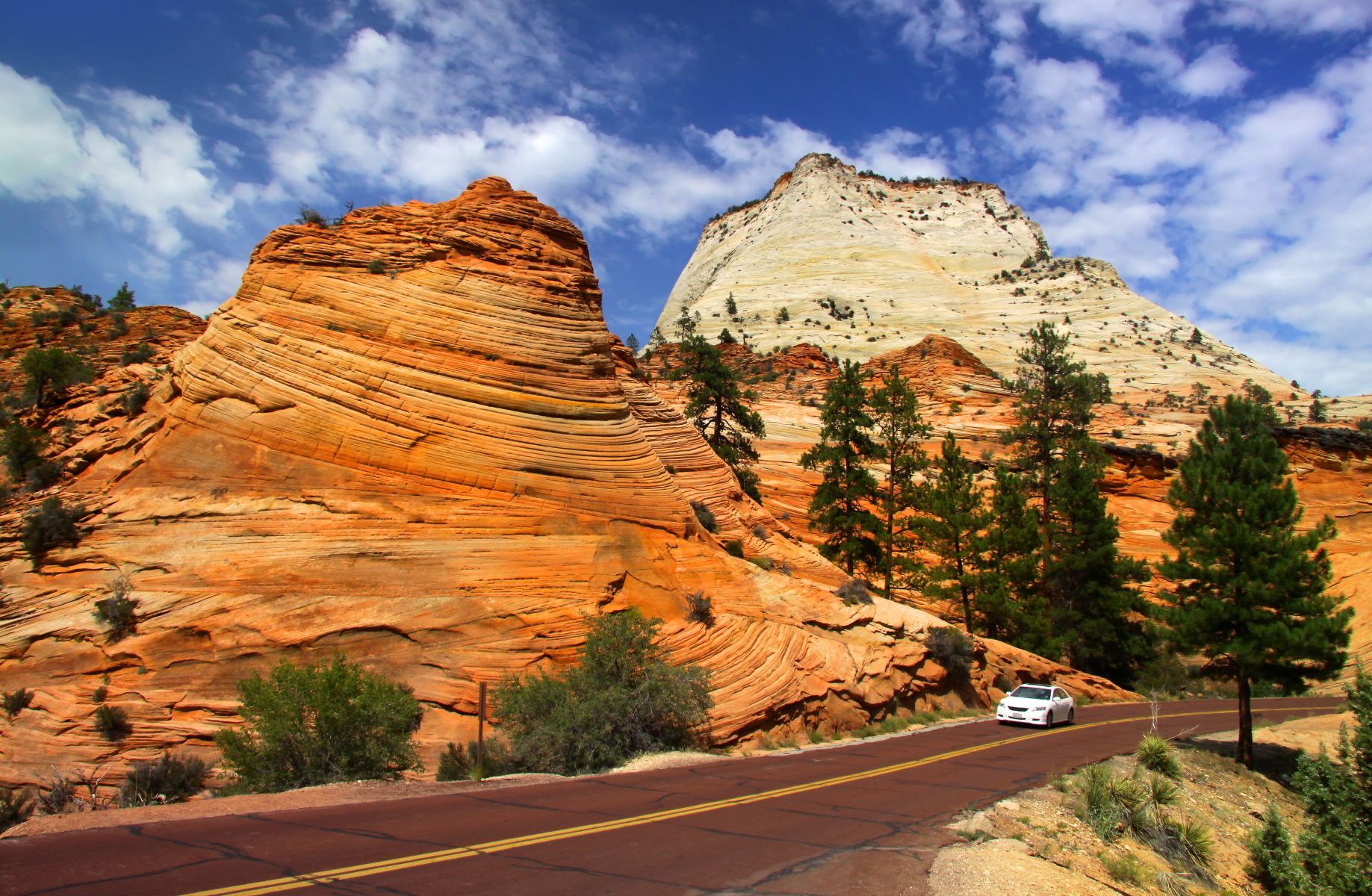 Zion Nationalpark USA Bild 2